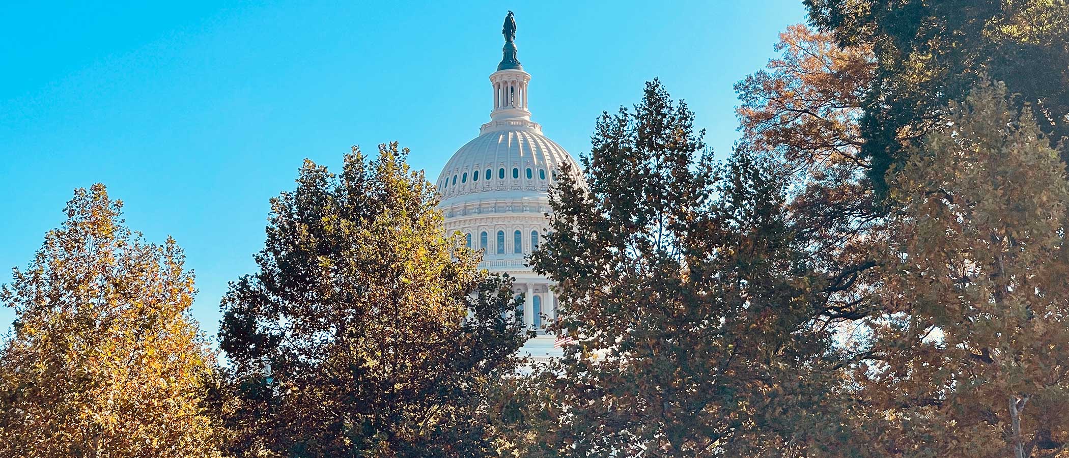 View of the capitol building dome in Washington DC on a sunny day.